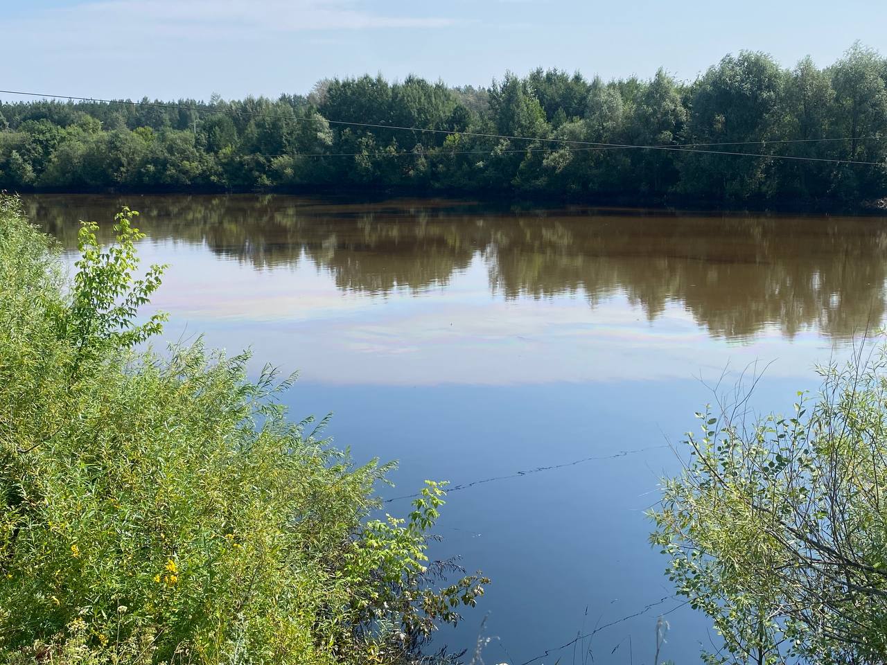 РБК Пермь