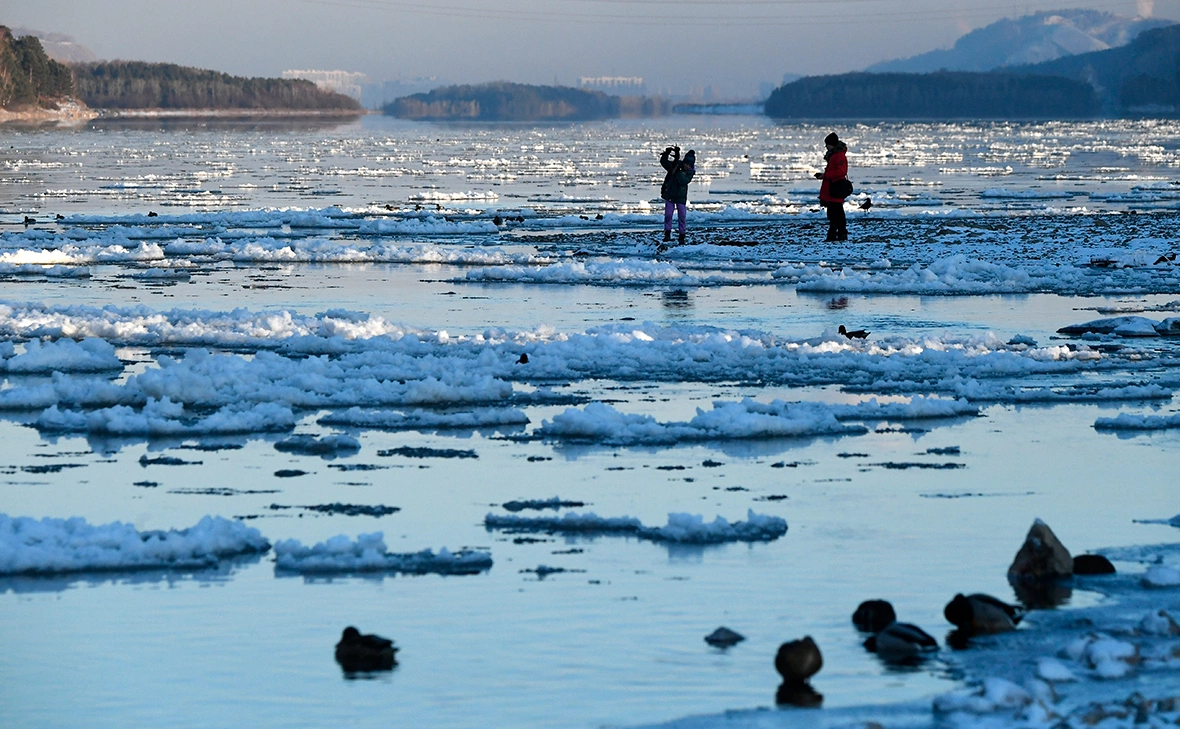 Илья Наймушин / РИА Новости