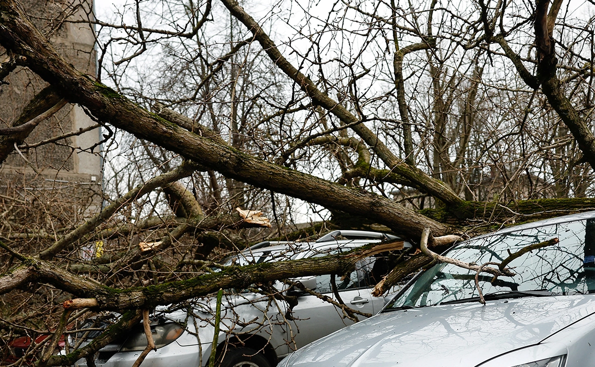 Михаил Голенков / РИА Новости
