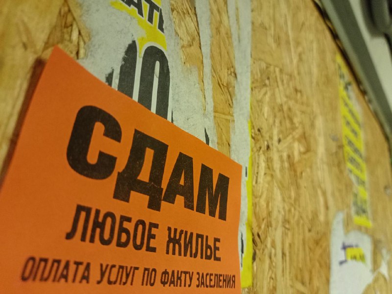 Фото: Алексей Коваленок / РБК Новосибирск