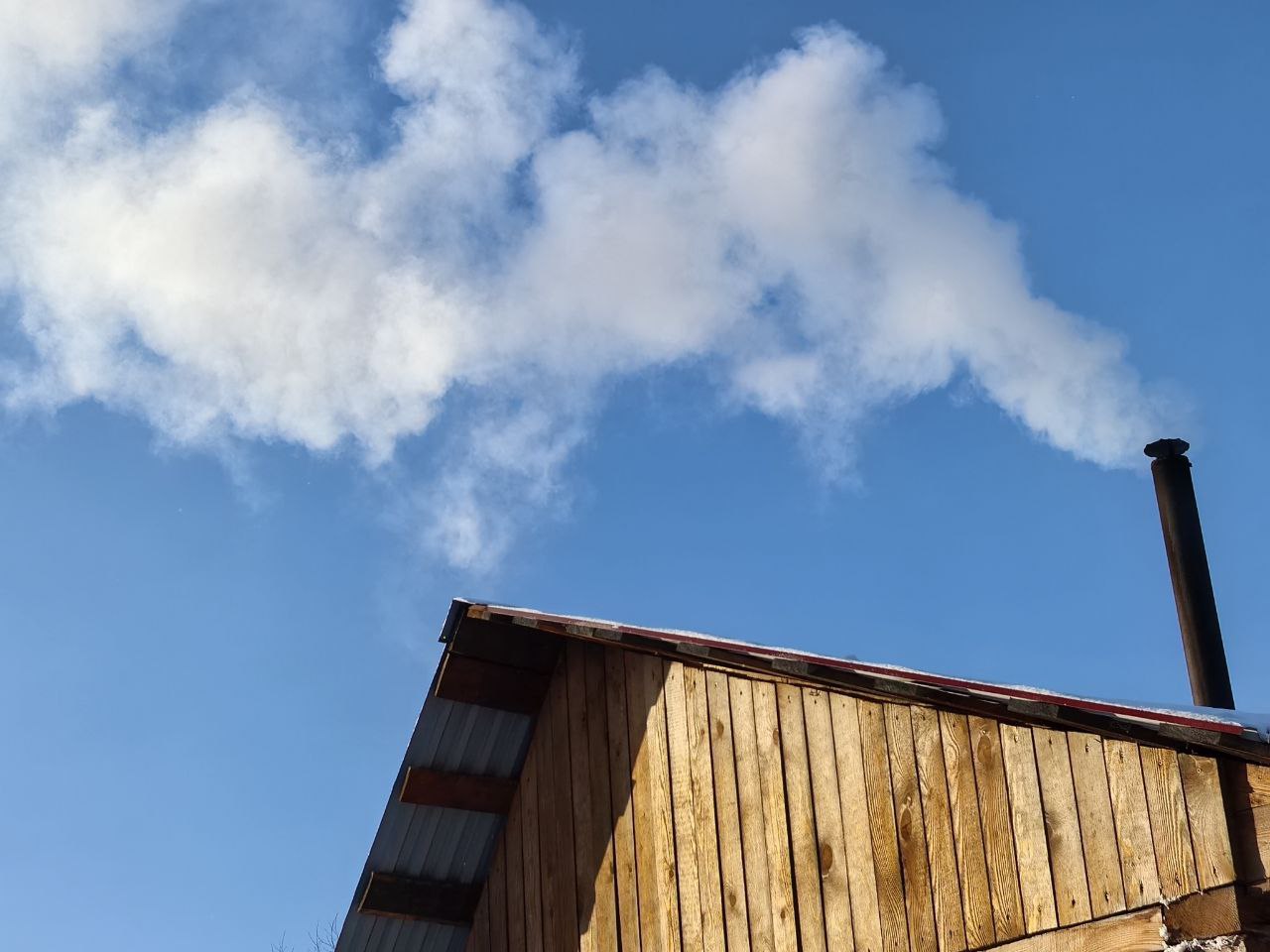 Фото: Алексей Коваленок / РБК Новосибирск