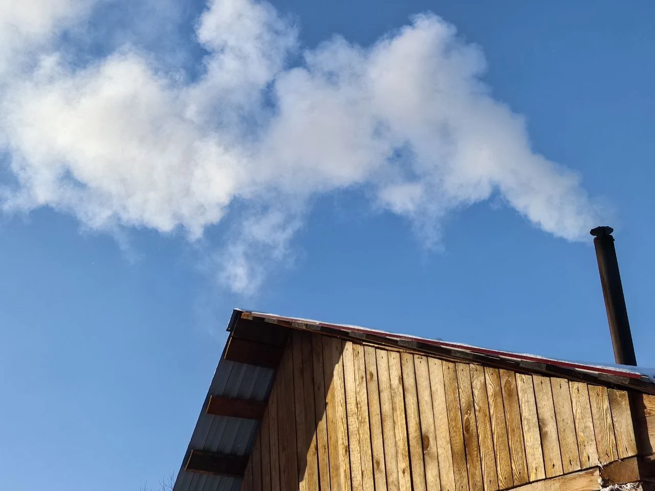 Алексей Коваленок / РБК Новосибирск