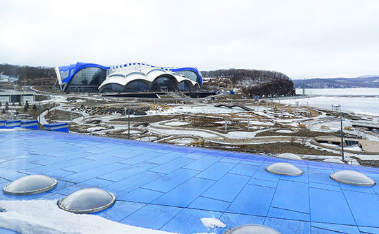 Вид на Приморский океанариум во Владивостоке