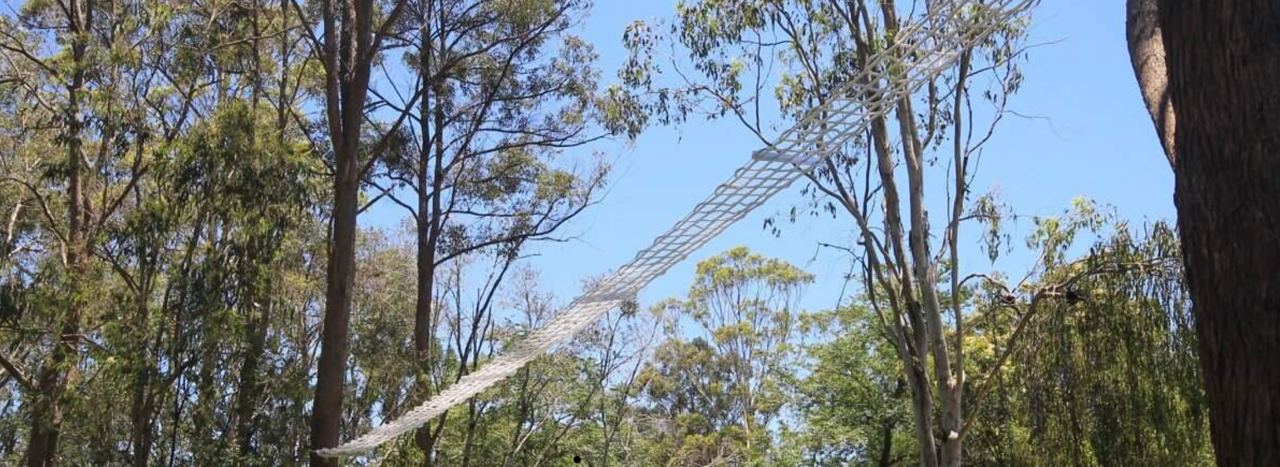 Веревочный мост в Австралии.