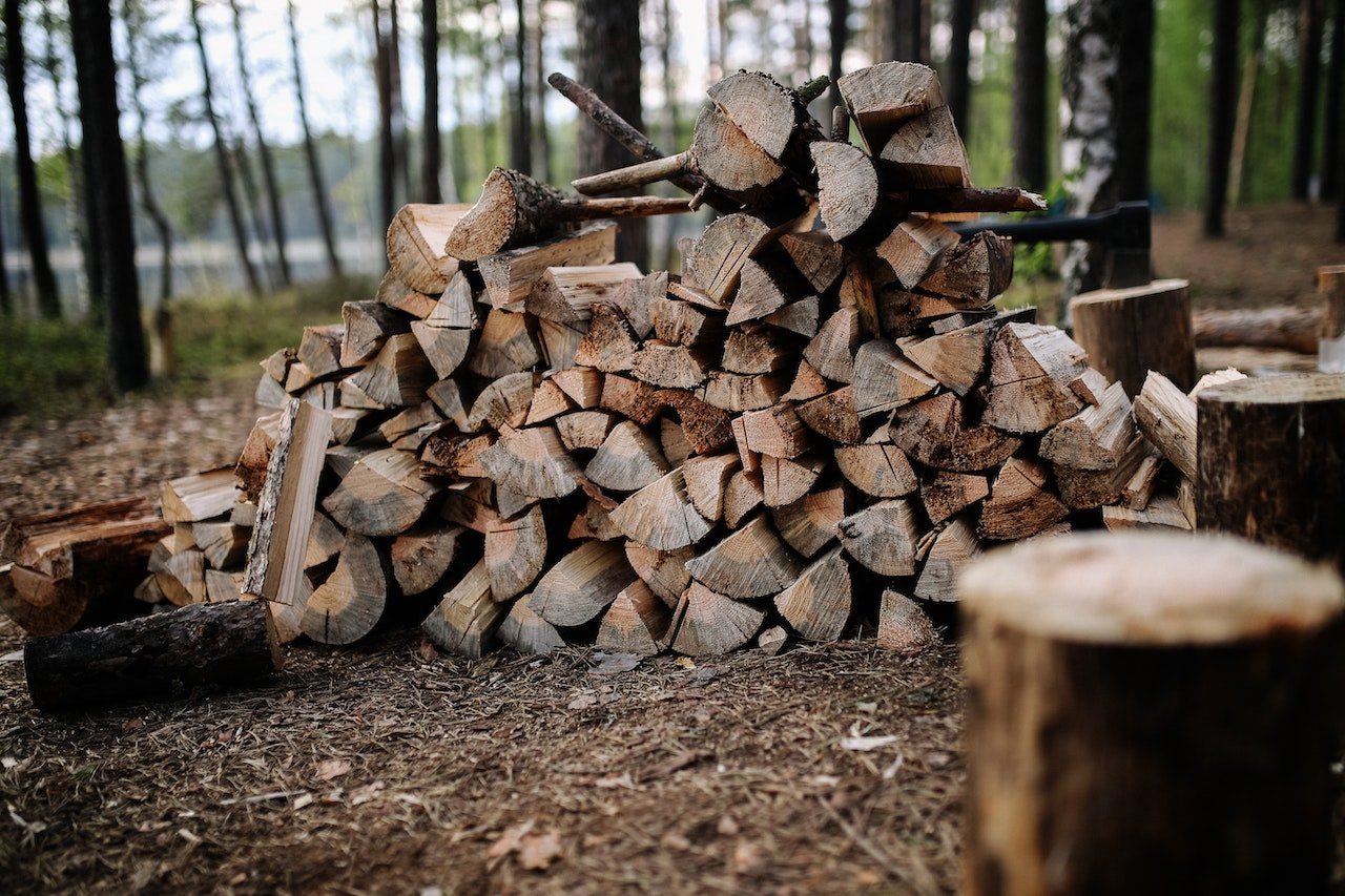 Вологодская область стала лидером по объемам заготовки дров