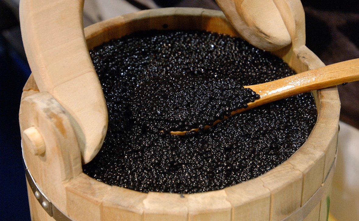 Юрий Машков / ТАСС