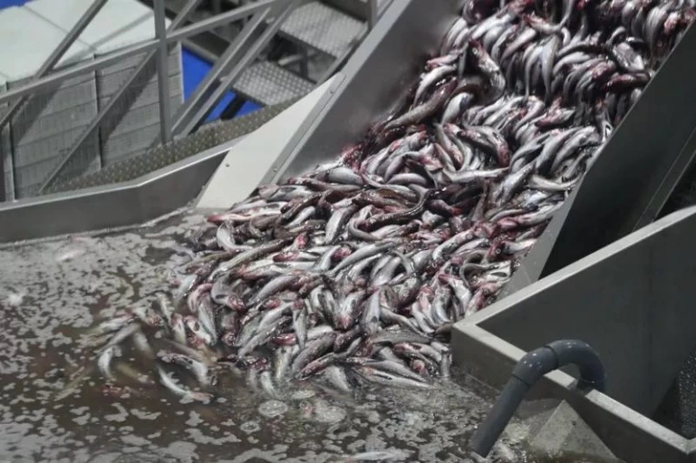 правительство Сахалинской области