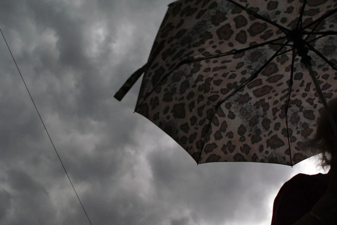 Александр Подгорчук