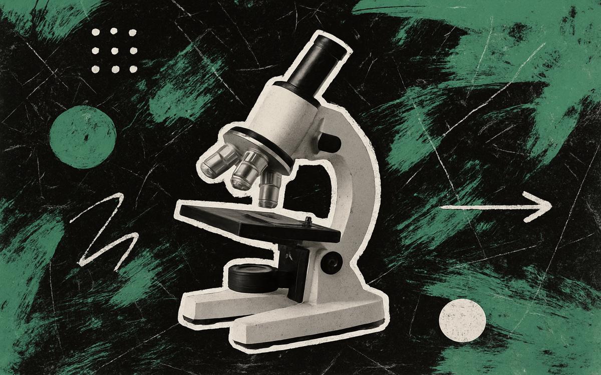 Россия вошла в пятерку лидеров по численности женщин в науке