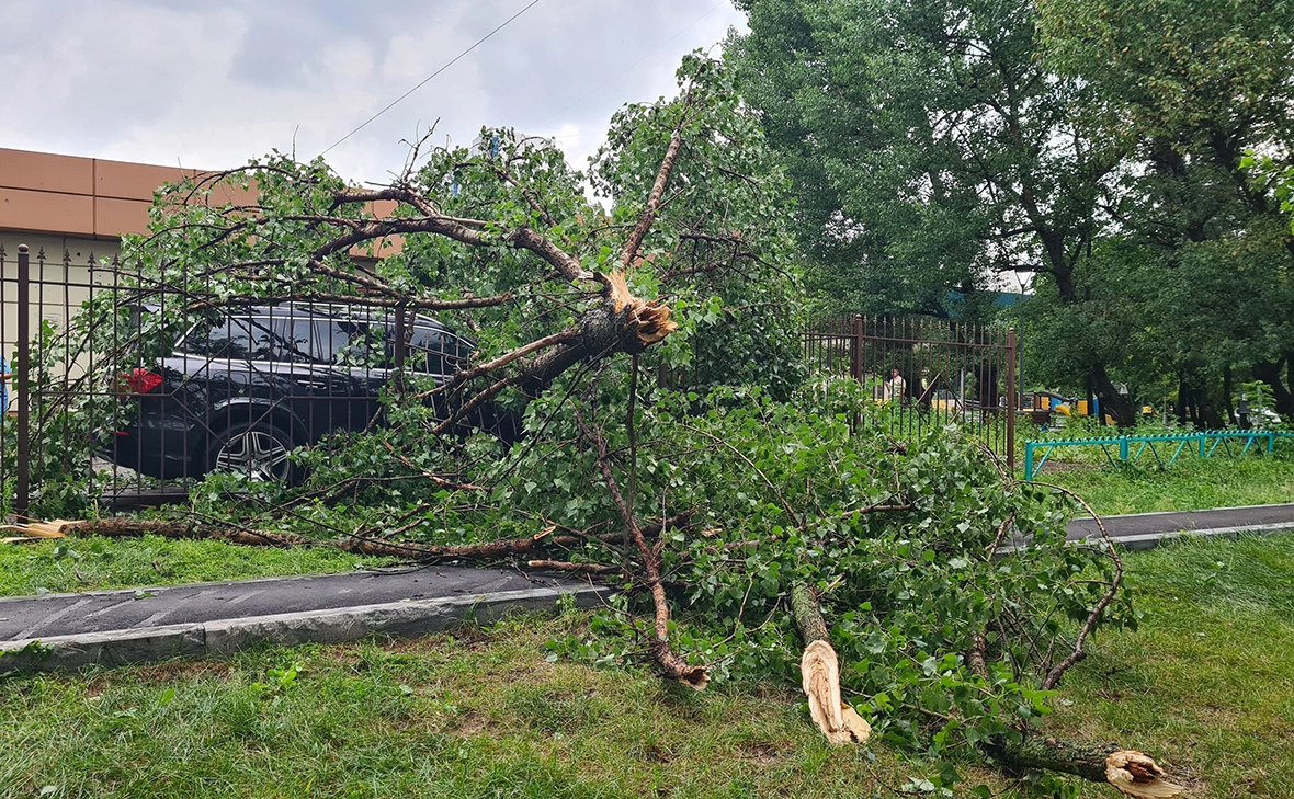 «АГН Москва»