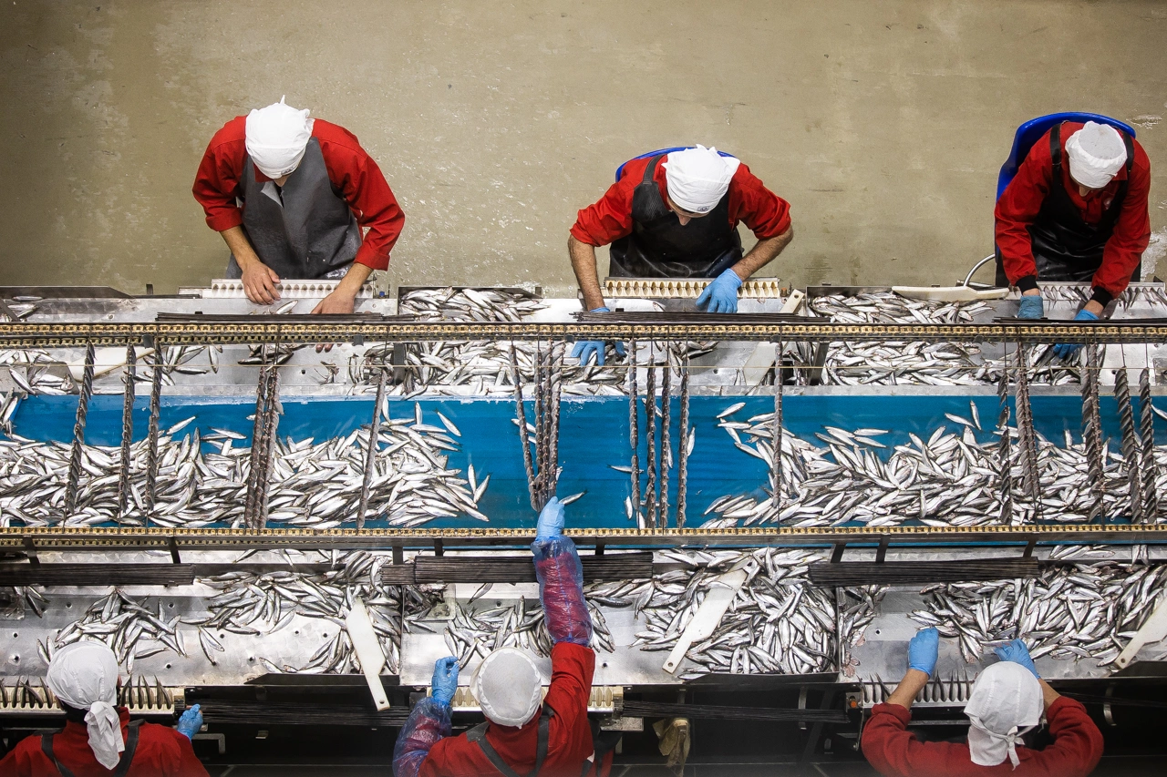 Александр Подгорчук