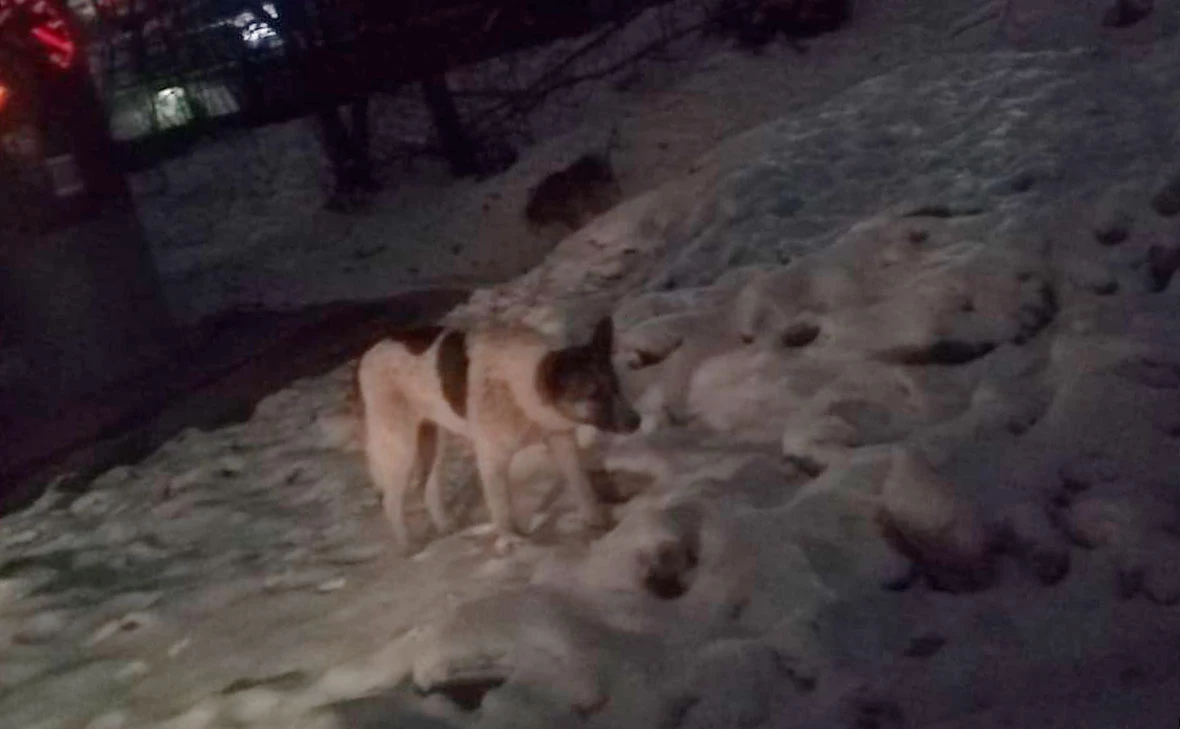 Прокуратура Хабаровского края