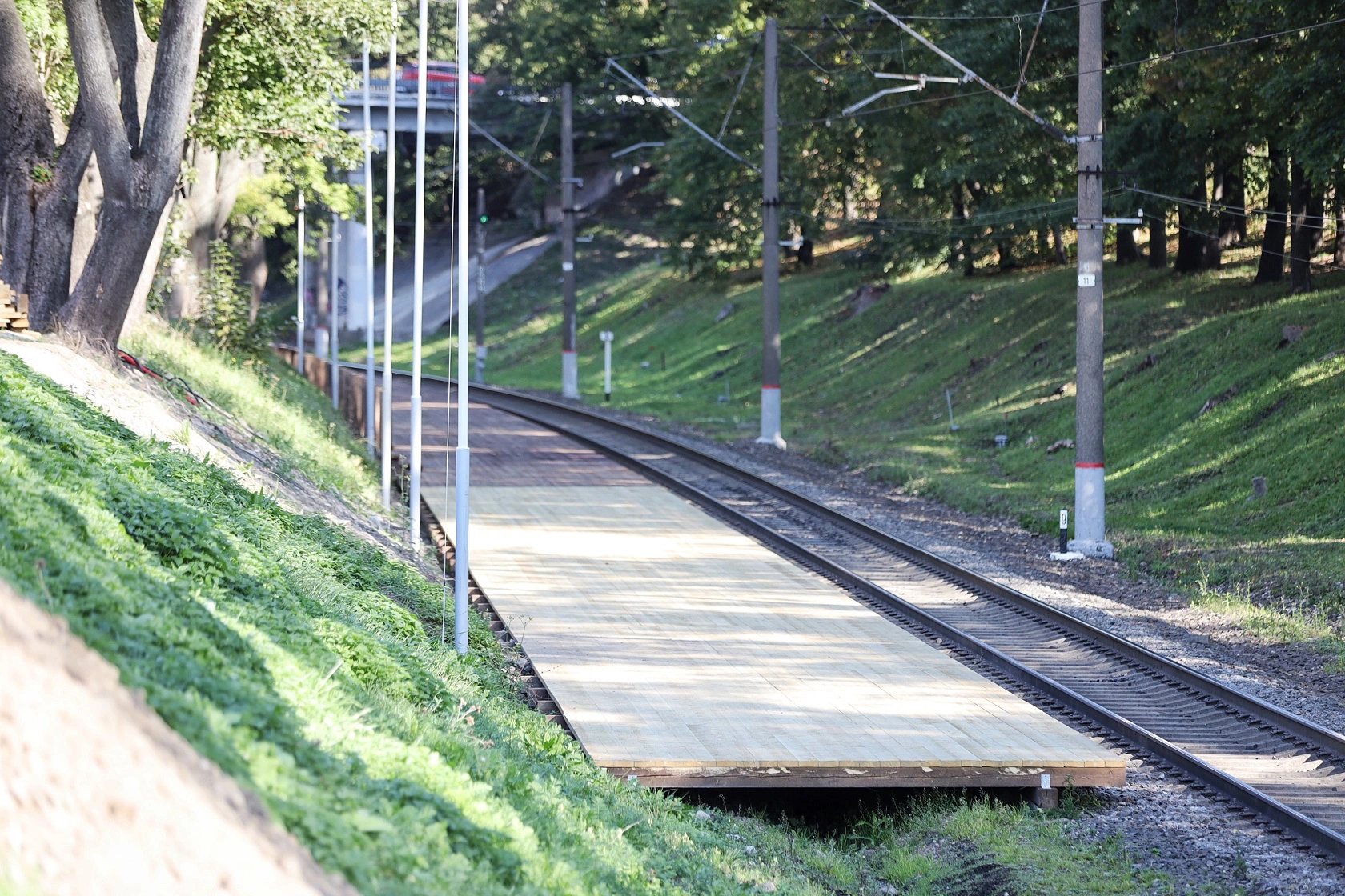 Александр Подгорчук