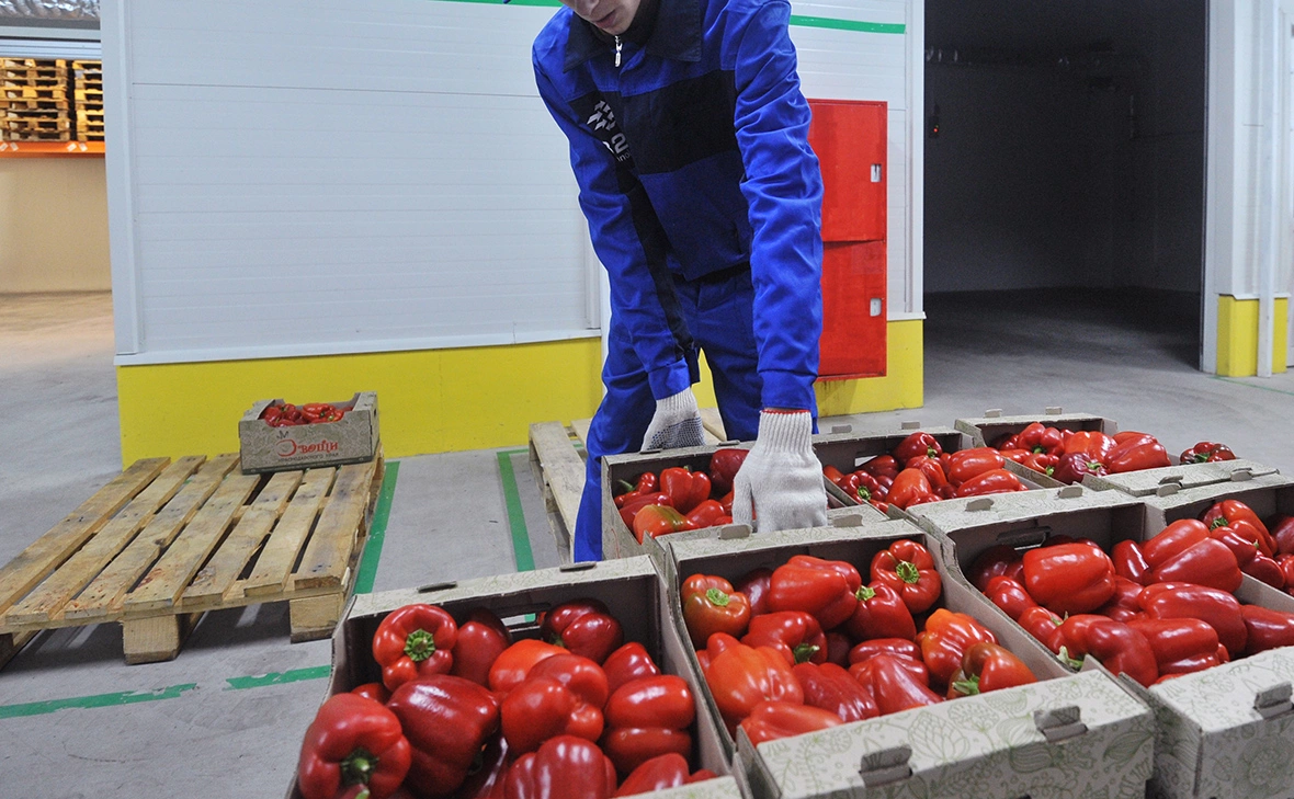 Сергей Пивоваров / РИА Новости