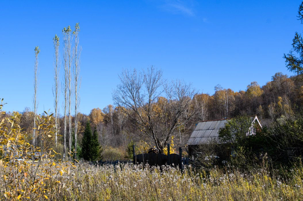 Владимир Жабриков / РИА URA.RU