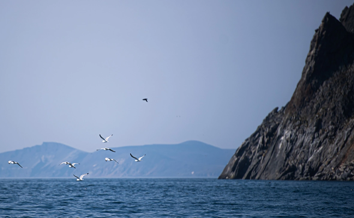 Владимир Астапкович / РИА Новости