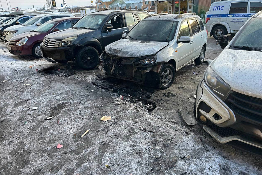 Фото: vvgladkov / Telegram