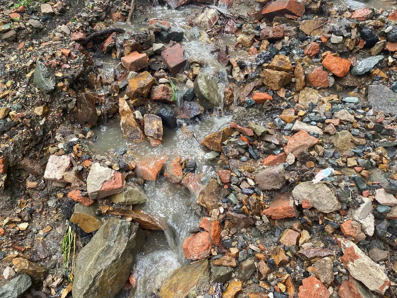 РБК Приморье