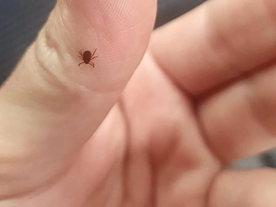 РБК Приморье