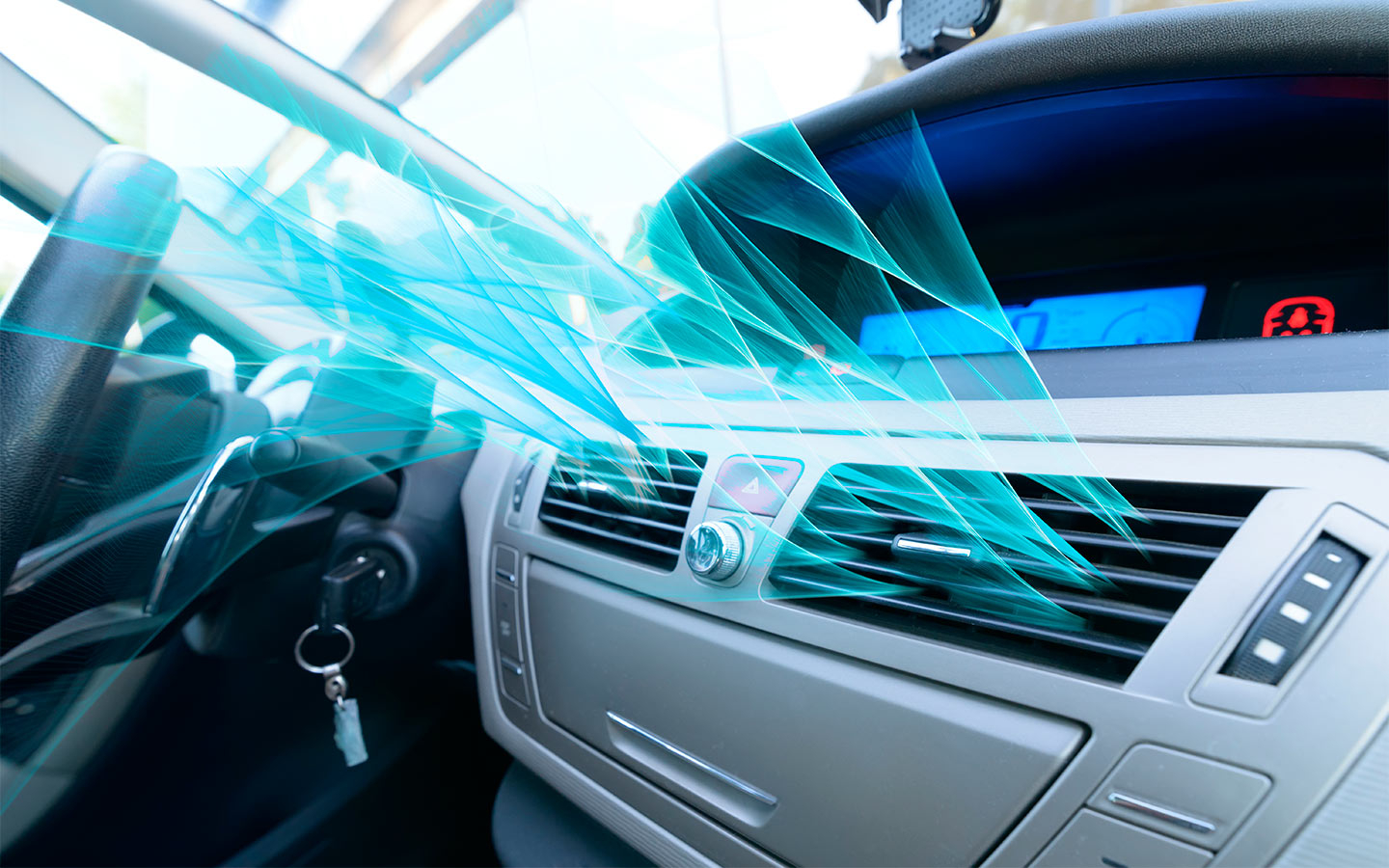 Фото: Monika Wisniewska / Shutterstock / FOTODOM