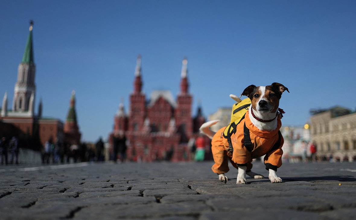 Рамиль Ситдиков / Reuters