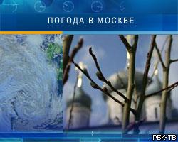 На предстоящей неделе в Москве будет до 11 градусов тепла