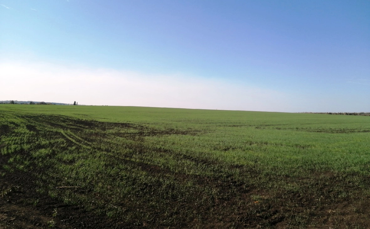 РБК Черноземье