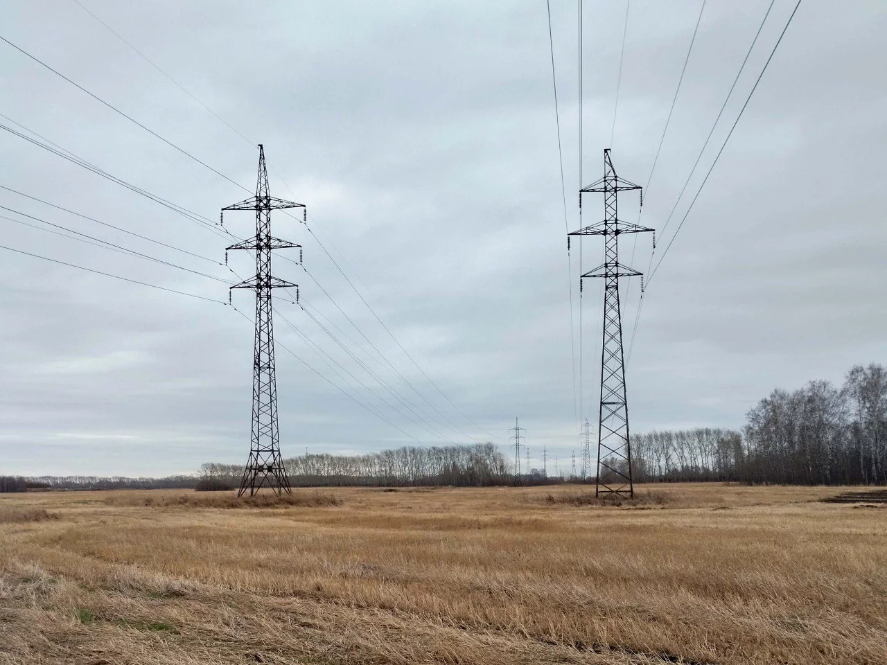 Telegram-канал «Россети Новосибирск»