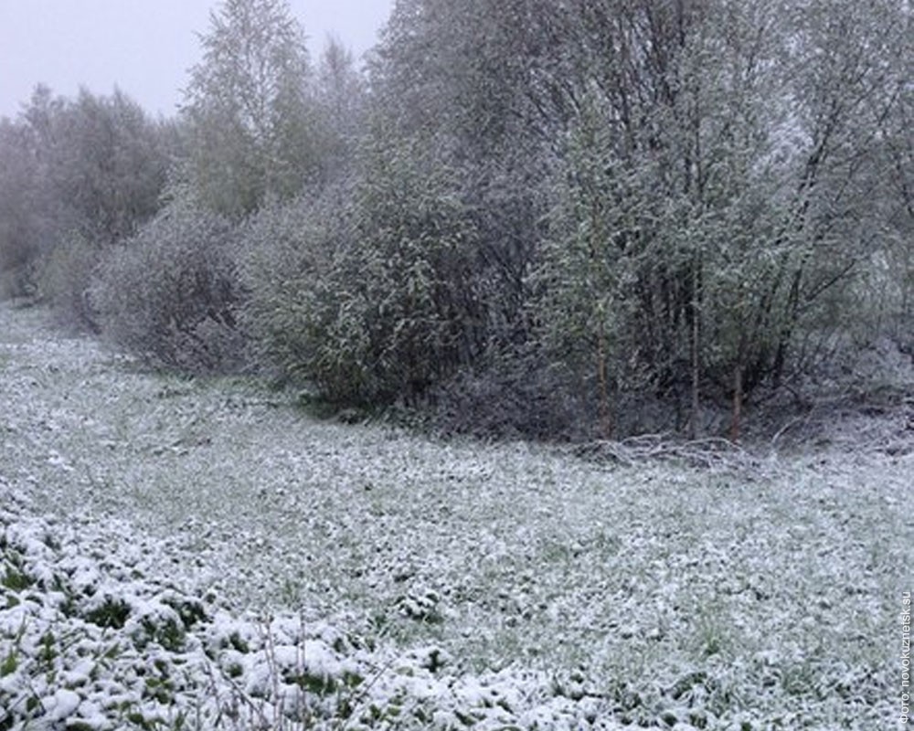 Кемеровская область встретила лето снегопадом