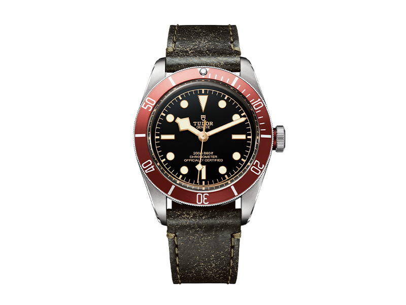 Часы Black Bay, Tudor, 224 250 руб.