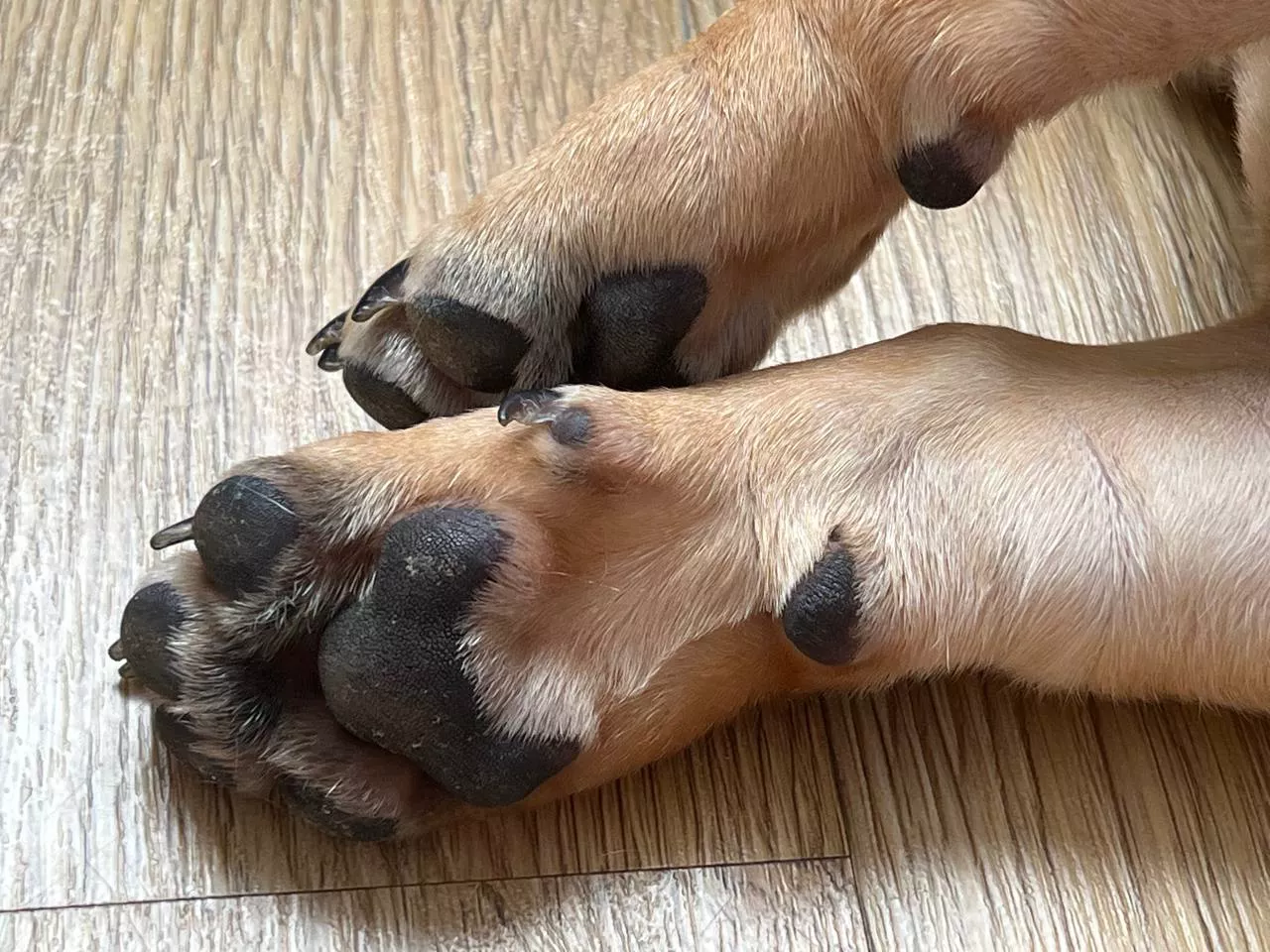 РБК Приморье 