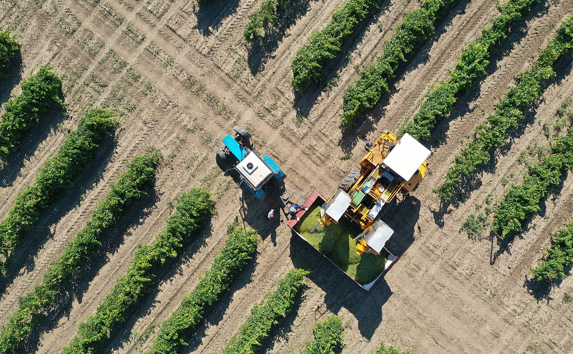 Виталий Тимкив / РИА Новости