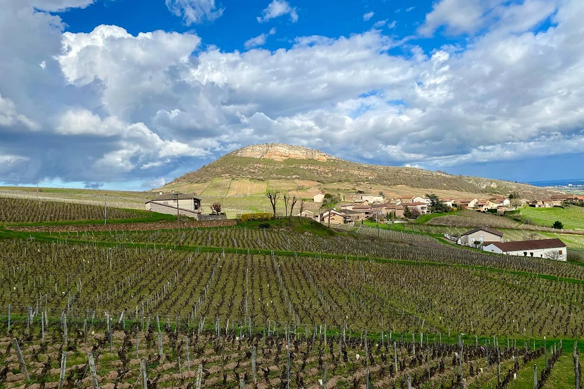 Ключевую роль в оспаривании в суде импортных пошлин, которые ввел президент США Дональд Трамп, сыграла небольшая семейная виноторговая компания из Нью-Йорка — VOS Selections