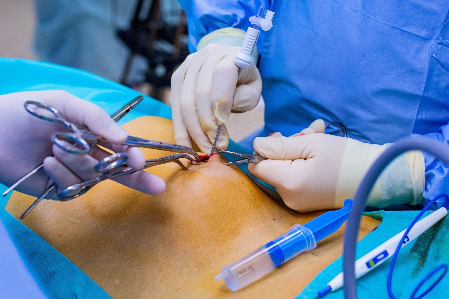 Фото: Тарасенков Александр / PhotoXPress.ru