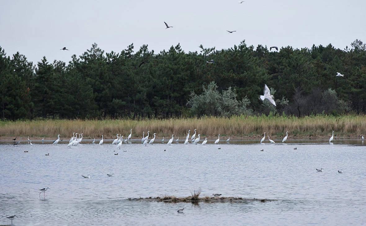 Алексей Коновалов / ТАСС