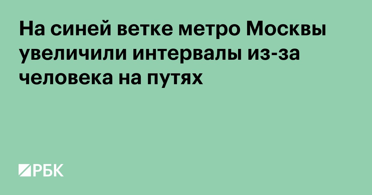 На синей ветке метро Москвы увеличили интервалы из-за человека на путях