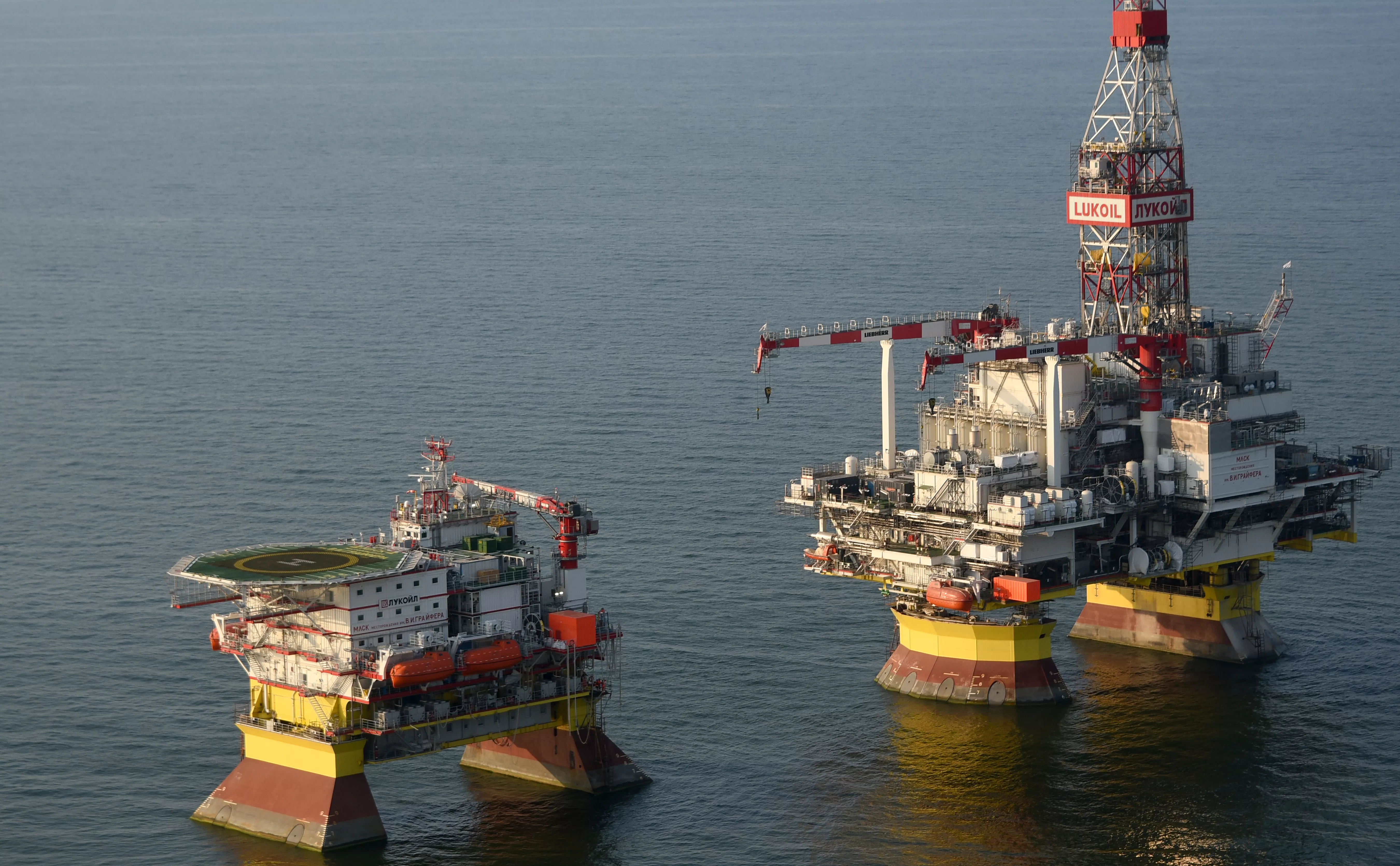 Дмитрий Дадонкин / ТАСС