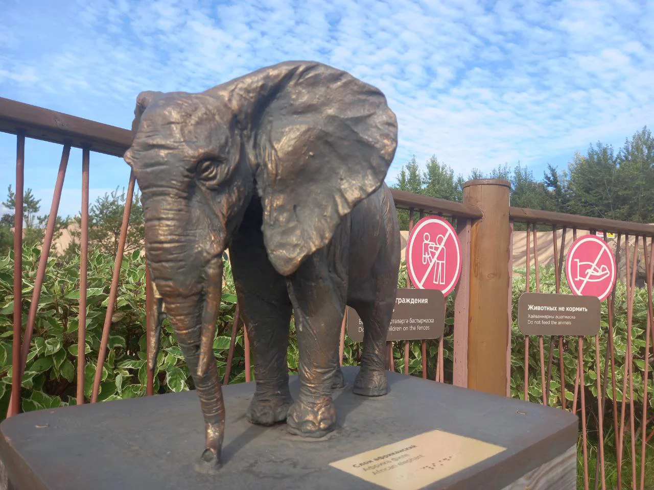 РБК Татарстан Млада Матафонова