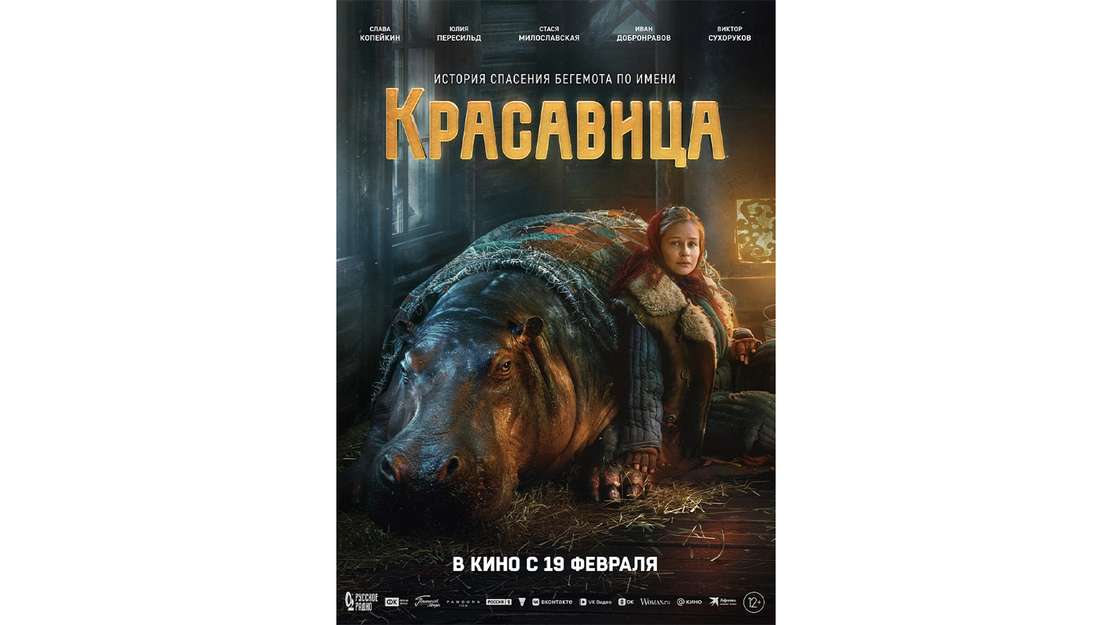 Постер фильма «Красавица»
