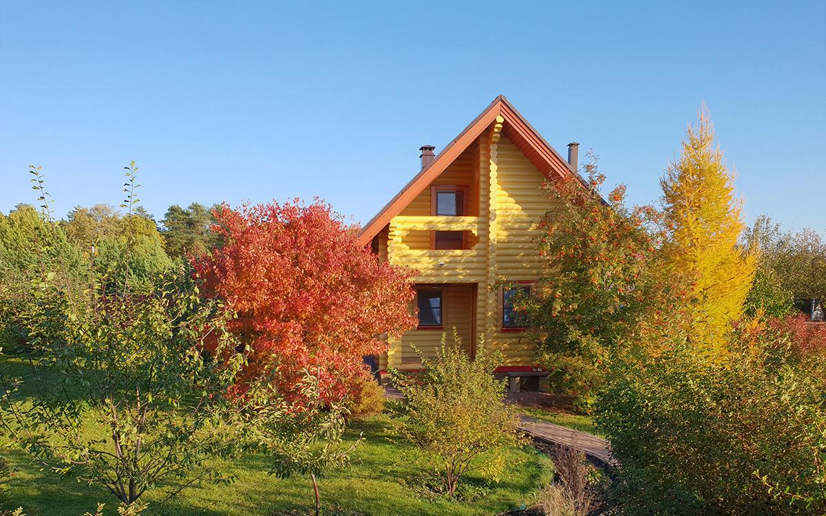 Фото: Andrey M. Sukhov / Shutterstock / FOTODOM