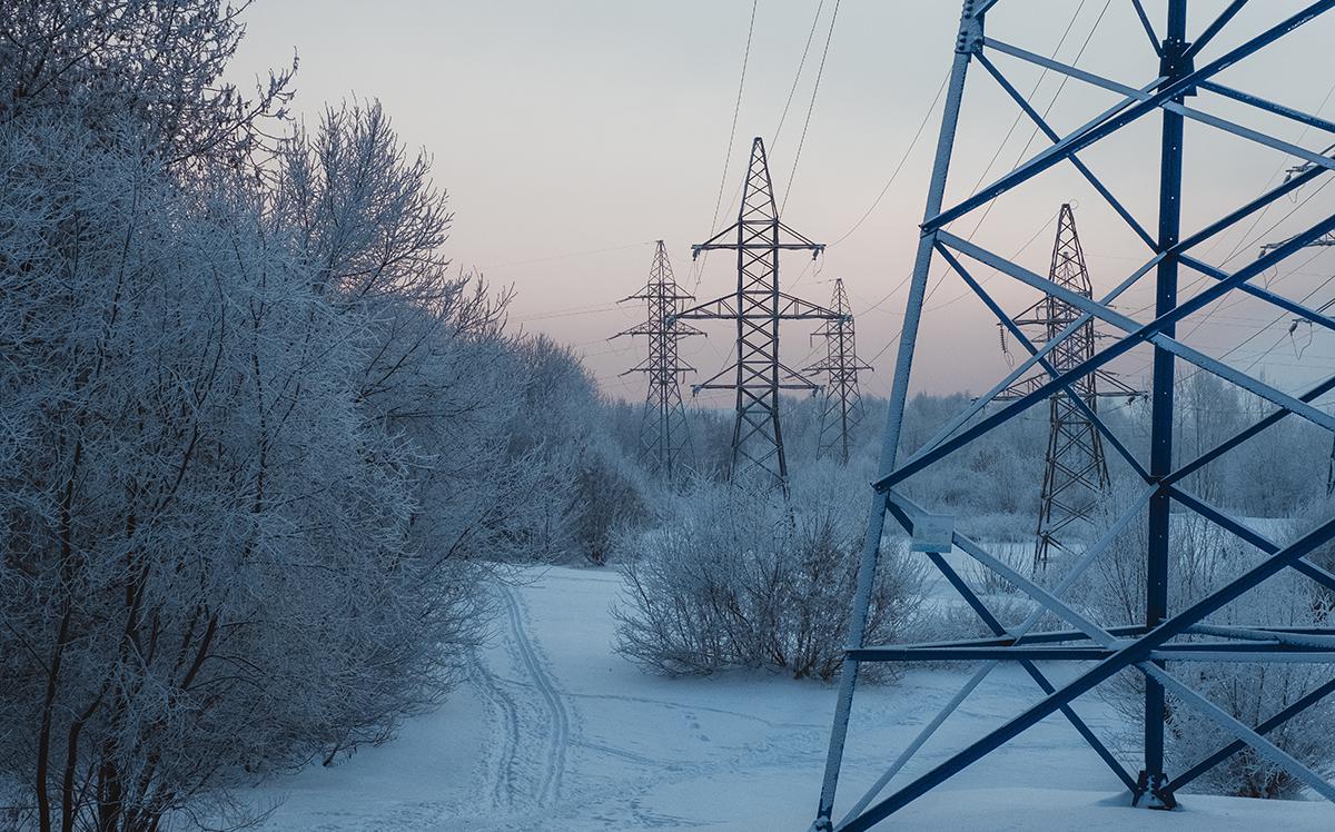 Совфед продлил переходный период для земельных участков в особых зонах