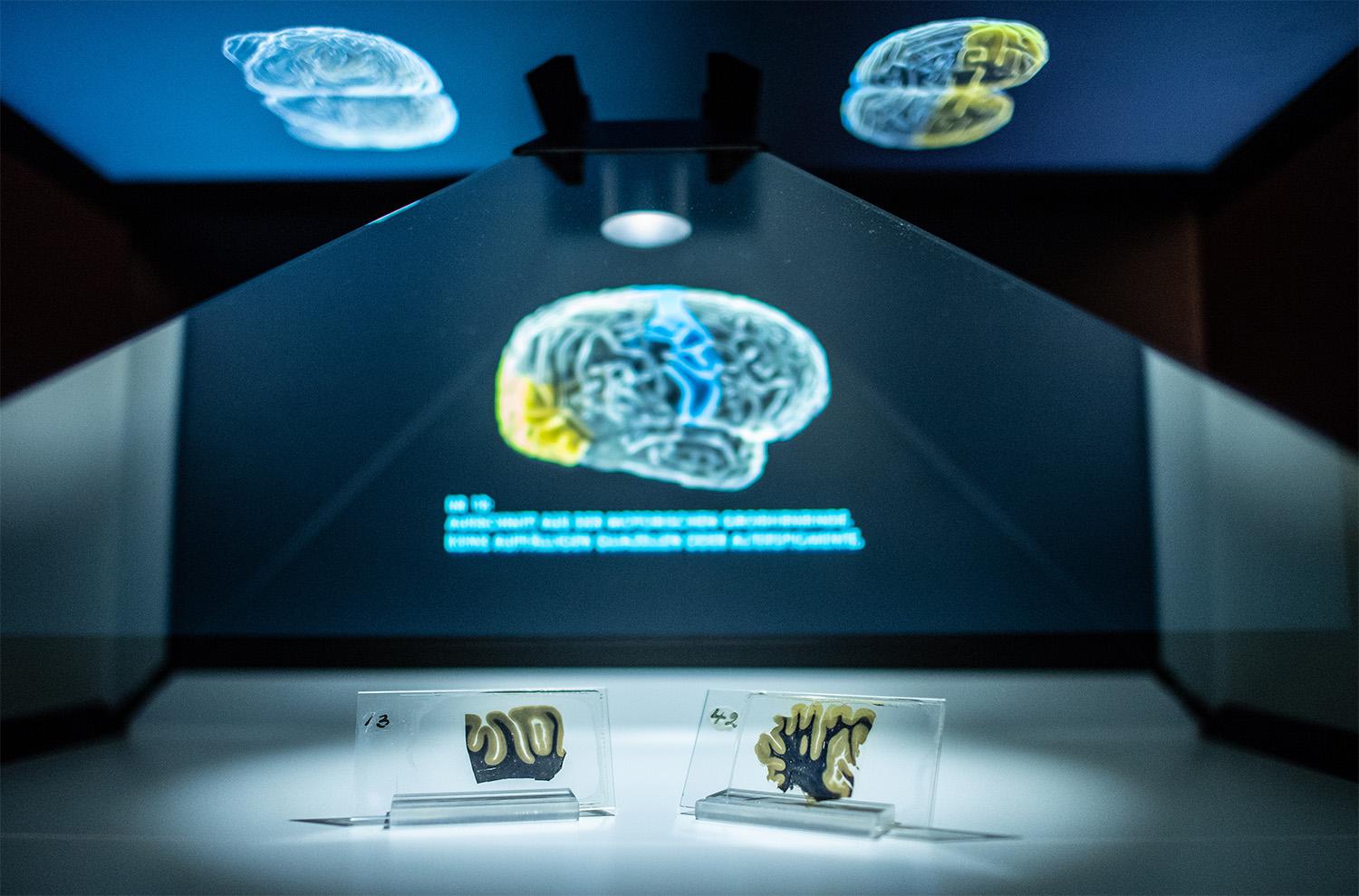 Guido Kirchner / dpa / Global Look Press