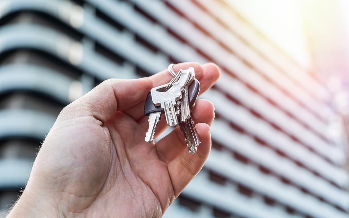 Фото: RomanR / Shutterstock / FOTODOM