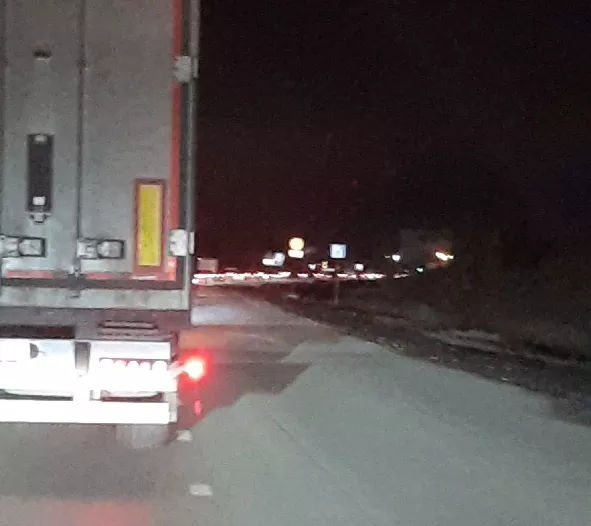 Светлана Трофимова 