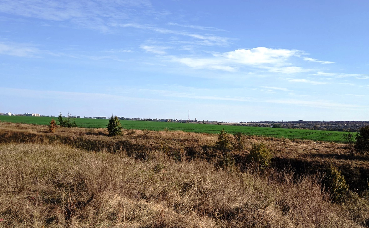 РБК Черноземье