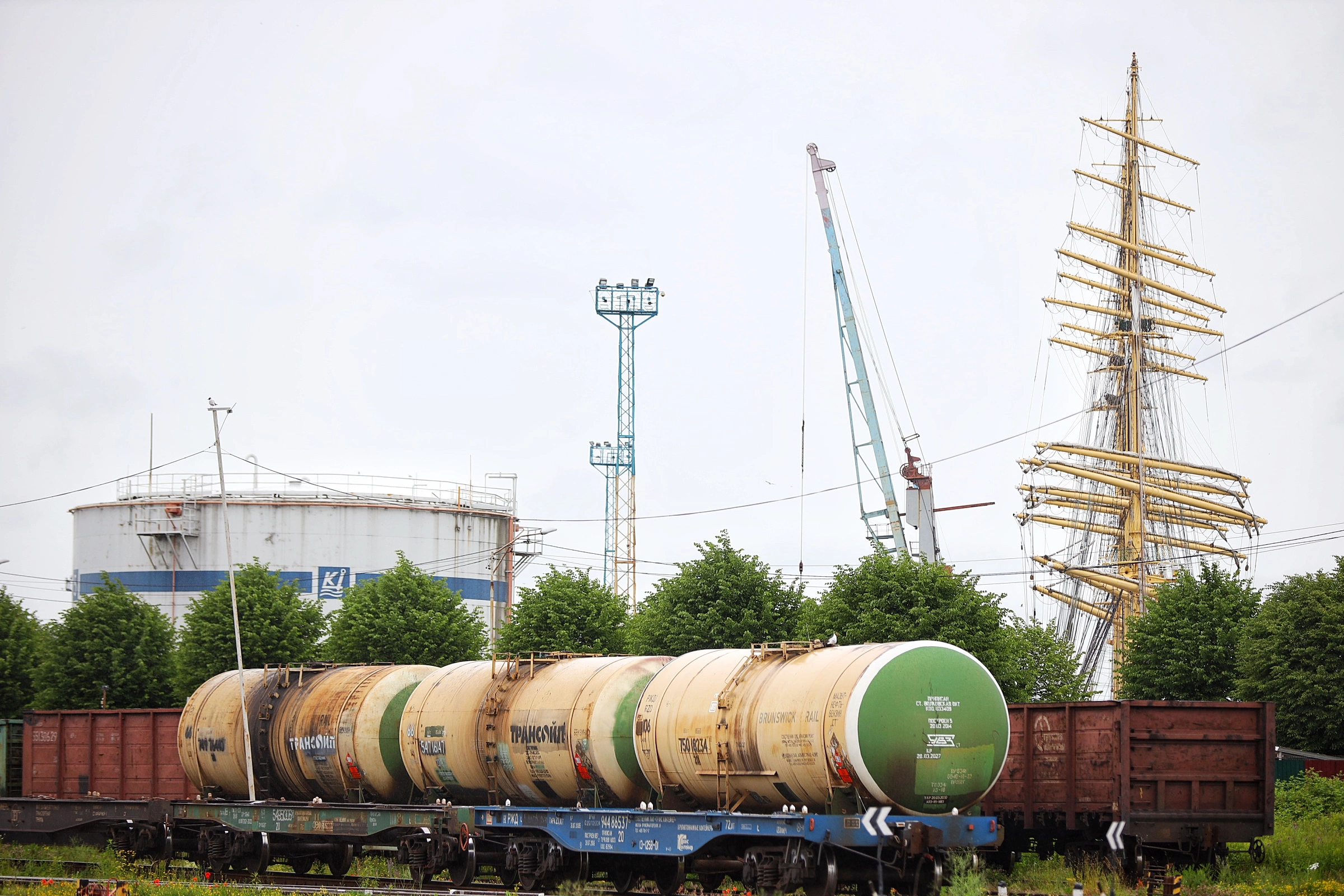 Александр Подгорчук