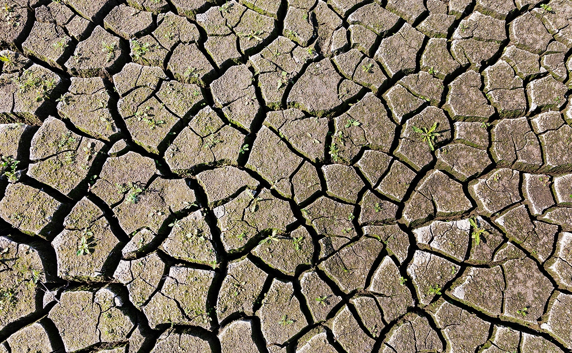 Алексей Смышляев / Global Look Press