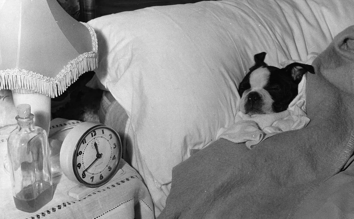 Fox Photos / Getty Images