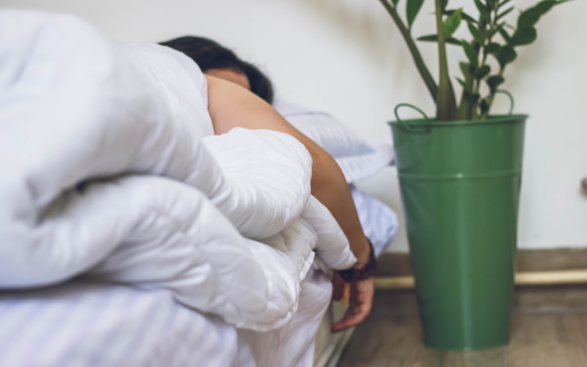 Японские ученые выделили 16 типов сна — это призвано помочь с бессонницей