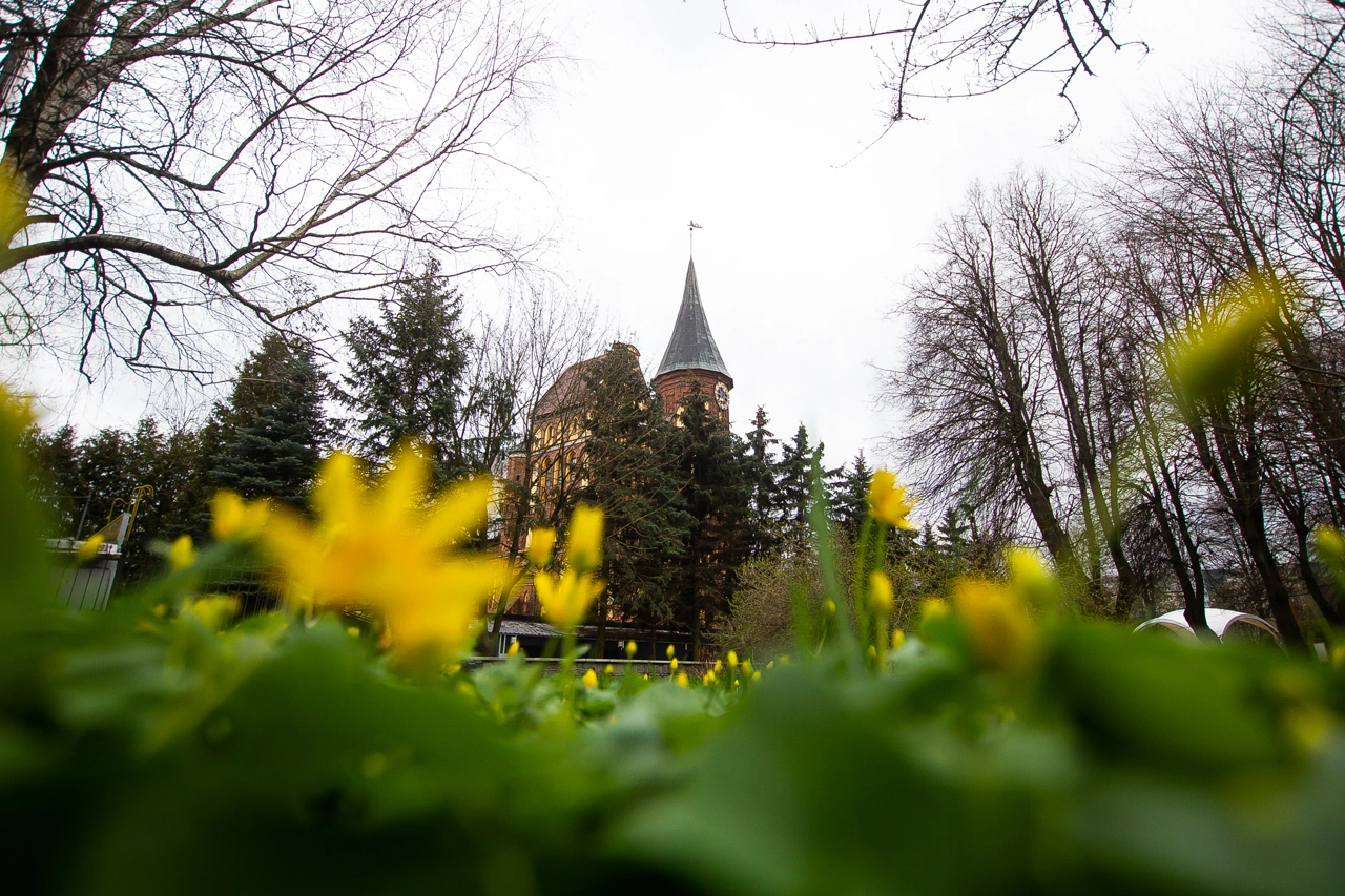 Александр Подгорчук